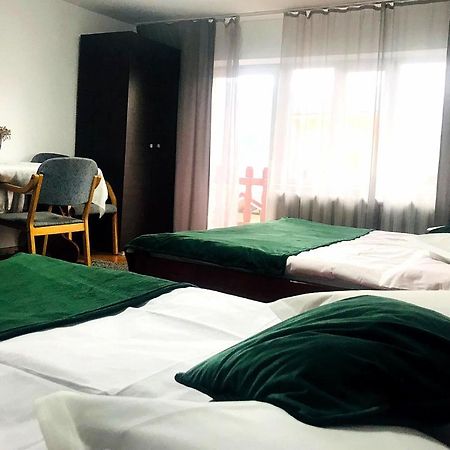 Apartament Sarco Villa Vatra Dornei Bagian luar foto
