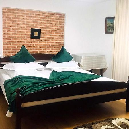 Apartament Sarco Villa Vatra Dornei Bagian luar foto