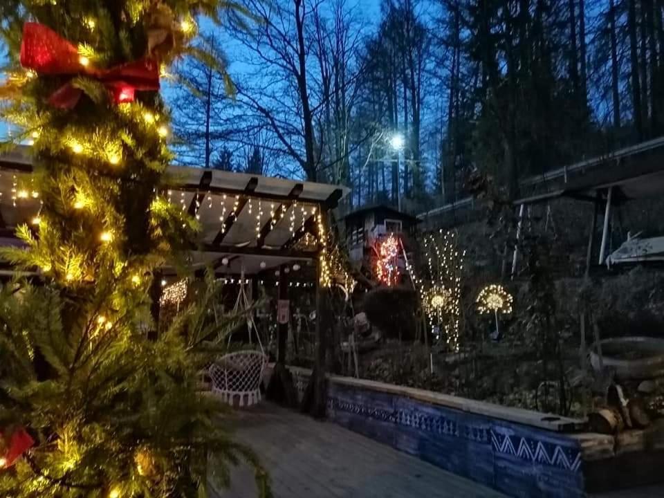 Apartament Sarco Villa Vatra Dornei Bagian luar foto