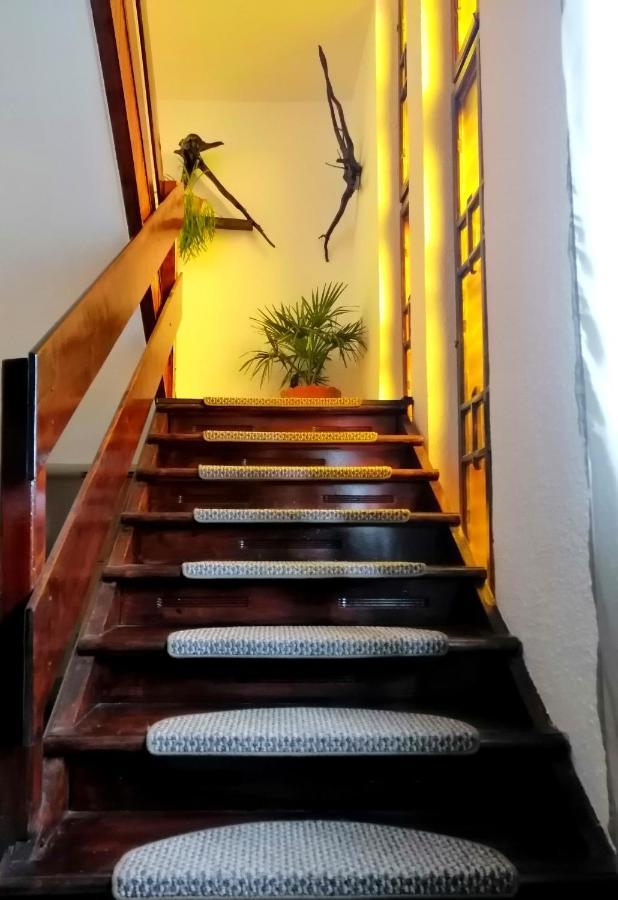 Apartament Sarco Villa Vatra Dornei Bagian luar foto