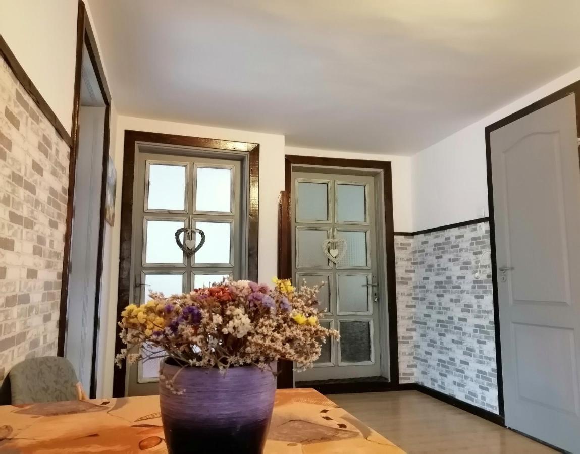 Apartament Sarco Villa Vatra Dornei Bagian luar foto