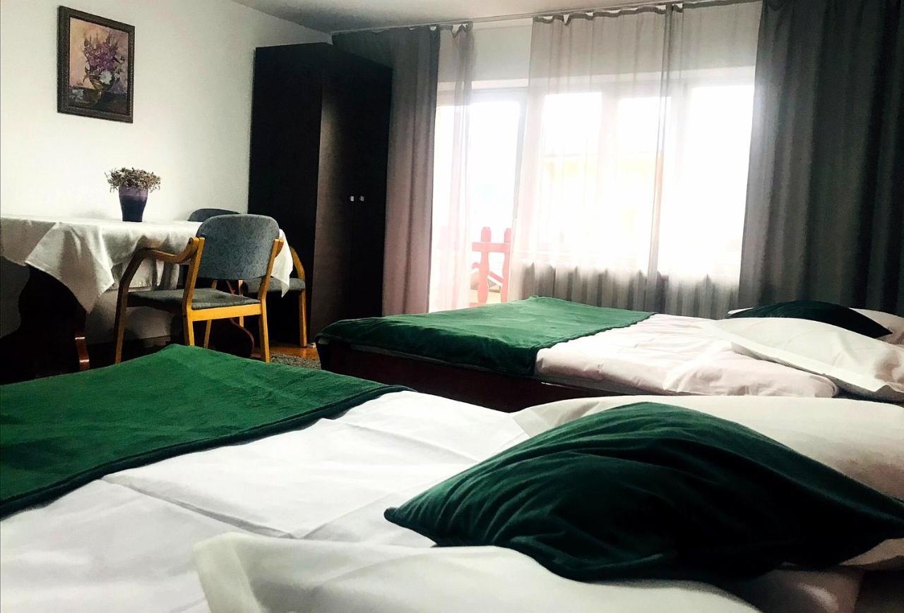 Apartament Sarco Villa Vatra Dornei Bagian luar foto