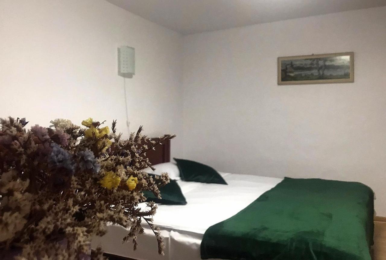 Apartament Sarco Villa Vatra Dornei Bagian luar foto